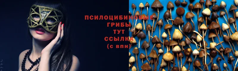 продажа наркотиков  Заозёрный  Псилоцибиновые грибы MAGIC MUSHROOMS 